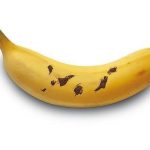 banana canaria