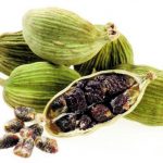 Cardamomo