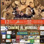 Professional boxing in the Magma Centre 12 March