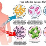 flora-batterica-intestinale